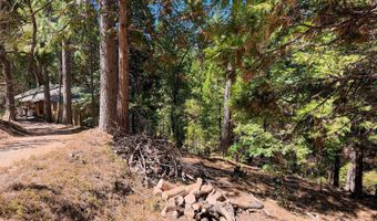 1800 Kit Carson Cir, Arnold, CA 95223