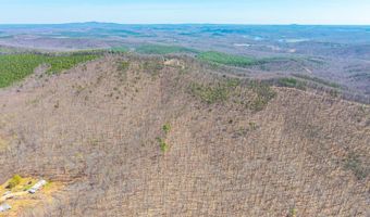 Larkin Mountain, Amherst, VA 24521