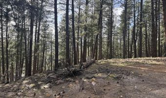 217 Pine Top Dr, Bayfield, CO 81137
