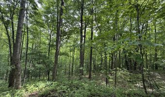 Ashland Camp Loop lot 163, Beattyville, KY 41311