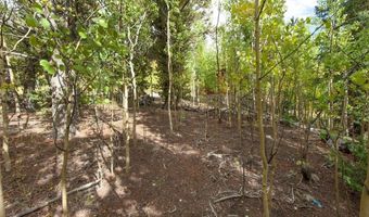 452 QUARTZVILLE Rd, Alma, CO 80420
