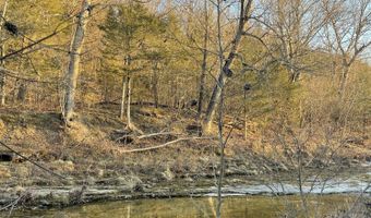 Tract 2 County Road 14-534, Ava, MO 65608