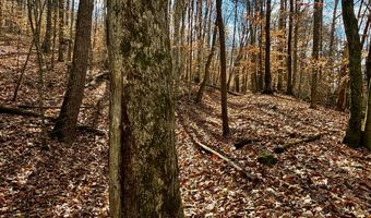 1520 Brittontown Rd, Afton, TN 37616