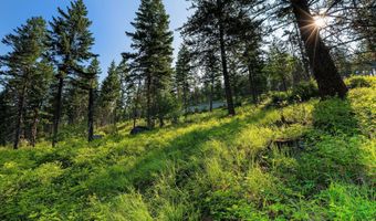 32 Bridle Ct, Bigfork, MT 59911
