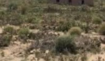 561 Hwy 116, Bosque, NM 87006
