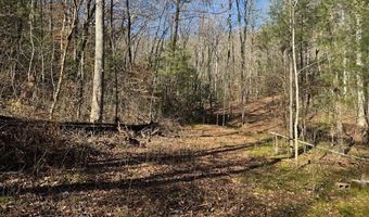 1834 Bristol Ave, Andrews, NC 28901