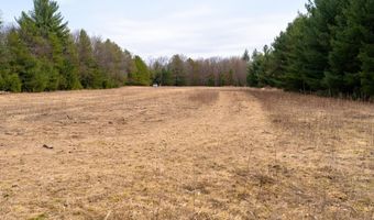 Dover Drive lot 2 +/-43 Ac, Adams, WI 53910