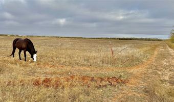 Iberis Road, Abilene, TX 79606