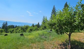 31714 Twinflower Ln, Bigfork, MT 59911