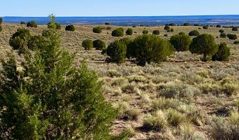 River Meadows Ranch Unit 3 Lot 204, Concho, AZ 85924