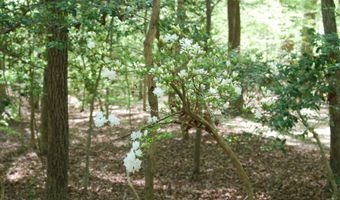 Parcel 45 BRYAN POINT Road, Accokeek, MD 20607