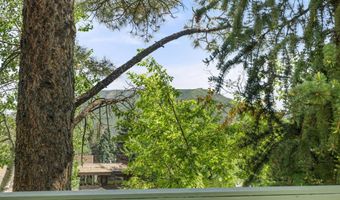 125 E Hyman Ave 1A, Aspen, CO 81611