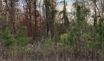Lot 395 Singer Lane, Abbeville, AL 36310