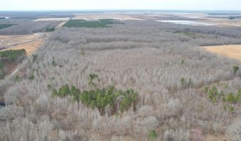 Williams Road, Bald Knob, AR 72010