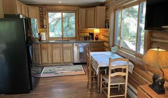 209 Deer Path Ln, Almont, CO 81230
