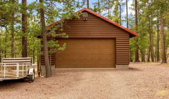 9 Co Rd 2074 # 2074, Alpine, AZ 85920