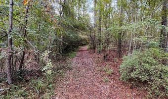 644 Ash-Harrel Loop, Abbeville, GA 31001