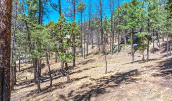 223 Lake Shore Dr Lot 1, Alto, NM 88312