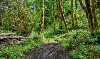 64601 E BRIGHTWOOD LOOP Rd, Brightwood, OR 97011