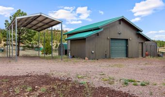 6 County Road 2099, Alpine, AZ 85920