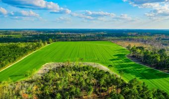 Beaufort Rd. & Warnock Rd, Alma, GA 31510