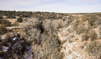 000 County Road 40.2 Poitry Canyon Ranch, Branson, CO 81027
