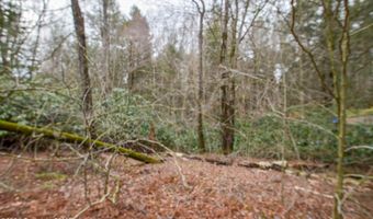 Deppners Road, Blakeslee, PA 18610
