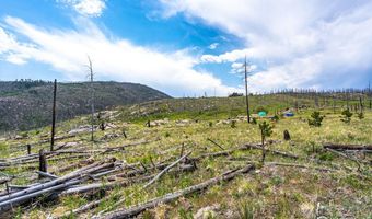 2384 Rist Creek Rd, Bellvue, CO 80512