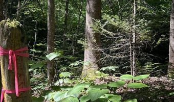Lot 2 Claybrook Road, Averill, VT 05901