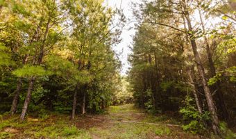 235 Woodrow Martin Rd, Brandon, MS 39042
