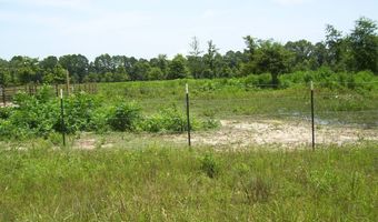 138 Little River 183, Ashdown, AR 71822