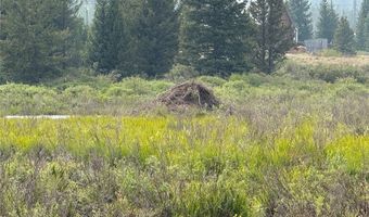 140 Kootchie Kootchie Rd Lot 30, Alma, CO 80440