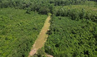 Co Rd 2337, Bay Springs, MS 39422