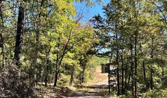 1011 Granny Hollar Rd, Atkins, AR 72823