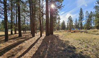 5117 Seagull Dr, Bonanza, OR 97623