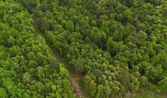 6020 Eaglewood Ln, Birchwood, TN 37308