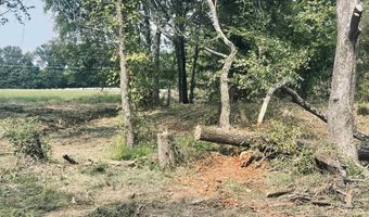 LOT 6 Leach Woods East CR 1560, Alba, TX 75410