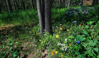 4327 BRIDGER Rdg, Ashton, ID 83420