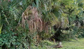 696 KESTNER Rd, Atlantic Beach, FL 32233