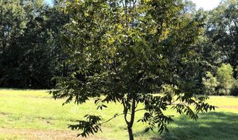 1071 LR 3, Ashdown, AR 71822