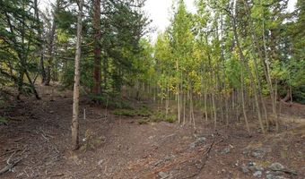 452 QUARTZVILLE Rd, Alma, CO 80420