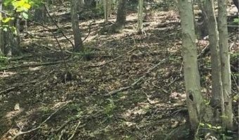 Goose Creek Lane, Ararat, VA 24053