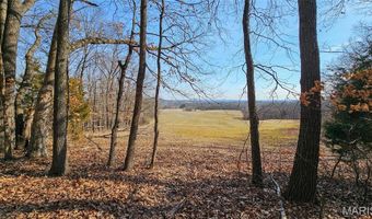 205 Hemsath Rd, Augusta, MO 63332