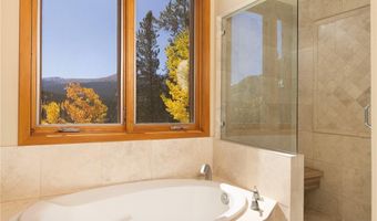 1139 BOREAS PASS Rd, Breckenridge, CO 80424