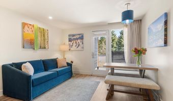 38750 Hwy 82 1109, Aspen, CO 81611