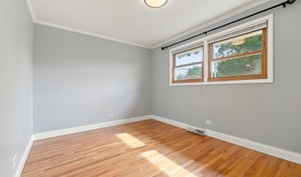 1113 S Haddow Ave, Arlington Heights, IL 60005