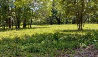 Tbd SW COUNTY ROAD 18, Fort White, FL 32038