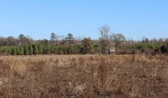 Highway 3, Blackville, SC 29817