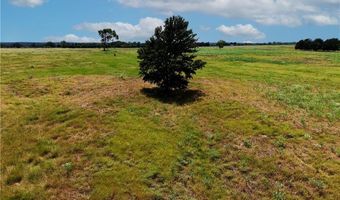 Tbd Tract 4 Fm-2819, Anderson, TX 77830