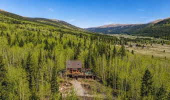 495 Edgewood Rd, Alma, CO 80420